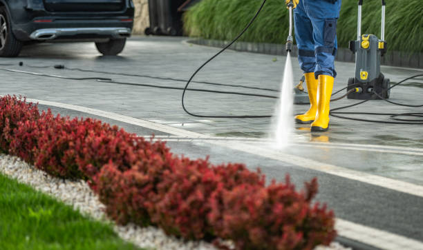 Best Driveway Pressure Washing  in Zeigler, IL